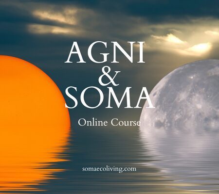 AGNI & SOMA